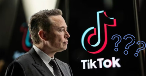 Elon Musk rachète TikTok US à ByteDance ?